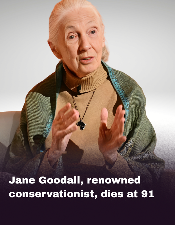 Jane Goodall, renowned conservationist, dies at 91 Jane Goodall, renowned conservationist, dies at 91