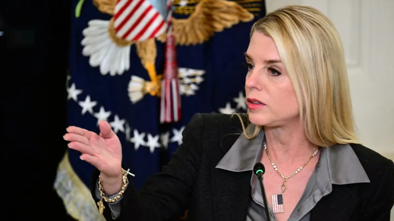 Suspect with lengthy rap sheet arrested for alleged Pam Bondi ‘murder-for-hire’ scheme: FBI Suspect with lengthy rap sheet arrested for alleged Pam Bondi ‘murder-for-hire’ scheme: FBI